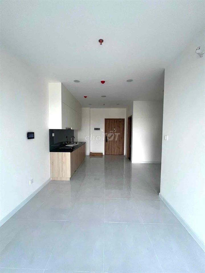 Cho thuê căn hộ 1pn chung cư The Maison