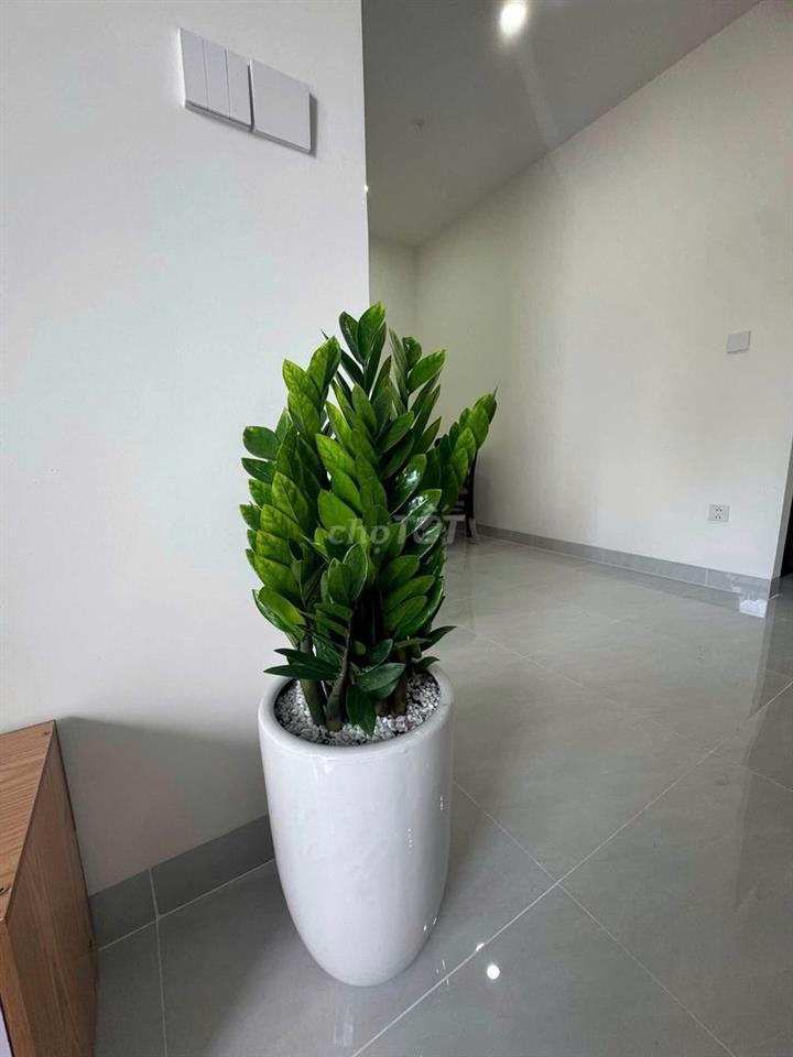 CHỈ *** 1 CĂN 6TR – 1PN 47M² FULL NỘI THẤT TẠI A&T SKY GARDEN