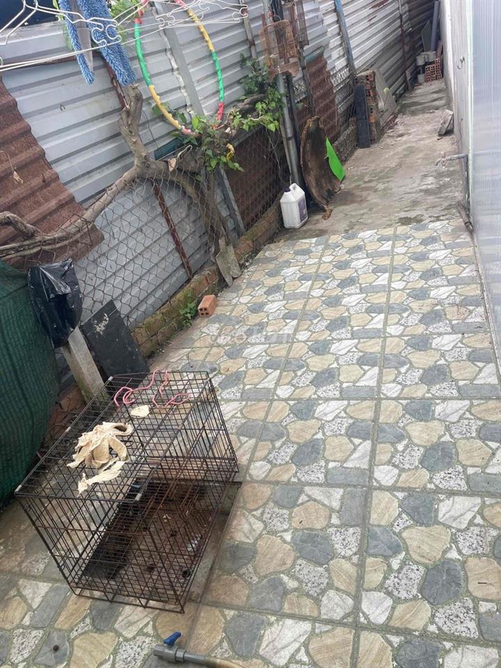 Cần tiền bán gấp căn nhà cấp 4