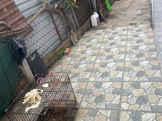 Cần tiền bán gấp căn nhà cấp 4