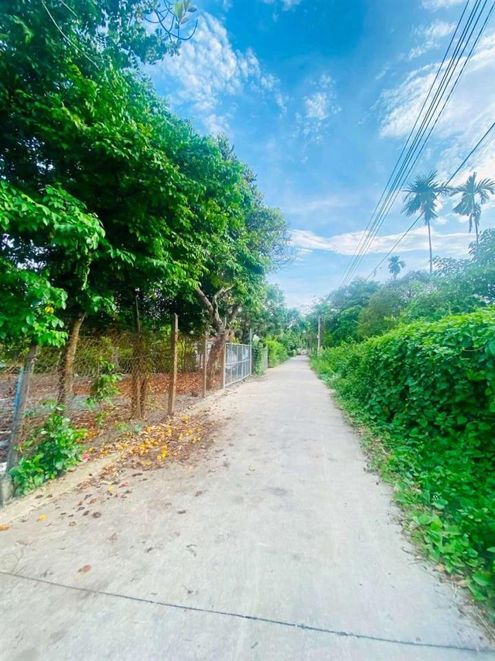 ĐẤT VƯỜN BÌNH NHÂM 05 ,LÁI THIÊU ,TP HCM 
