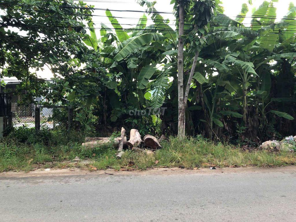 ĐẤT XÂY BIỆT THỰ MẶT TIỀN ĐƯỜNG CẦU TÀU,  BÌNH NHÂM 