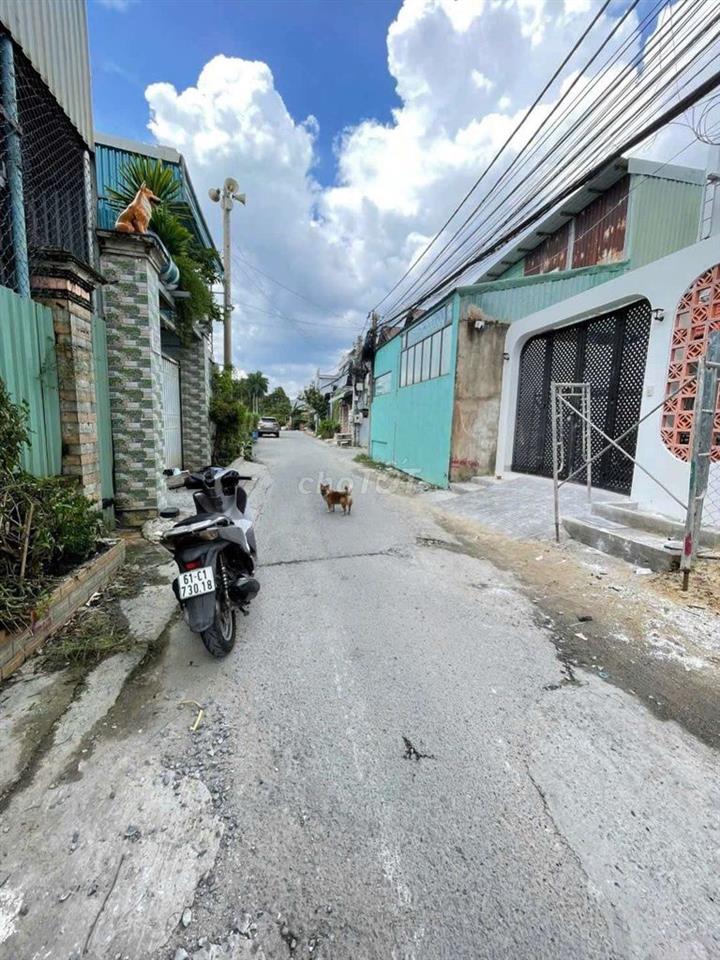 BÁN GẤP ĐẤT BÌNH NHÂM 88 ,LÁI THIÊU ,TP HCM