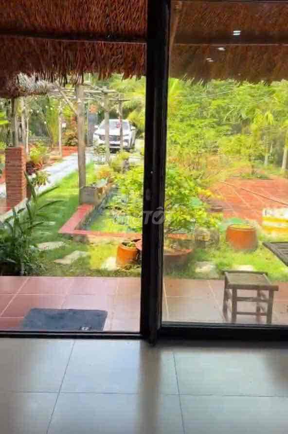 Gấp gấp Nhà Vườn An Điền 15x52m.  thổ cư 200m2 sẵn nhà , cây ăn quả
