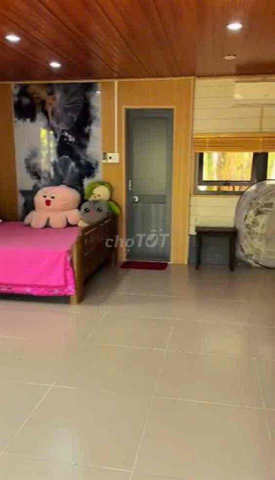 Gấp gấp Nhà Vườn An Điền 15x52m.  thổ cư 200m2 sẵn nhà , cây ăn quả