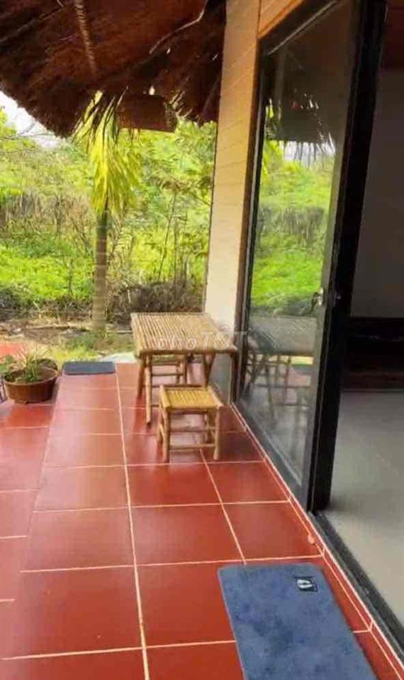 Gấp gấp Nhà Vườn An Điền 15x52m.  thổ cư 200m2 sẵn nhà , cây ăn quả