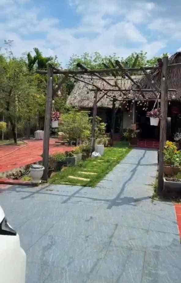 Gấp gấp Nhà Vườn An Điền 15x52m.  thổ cư 200m2 sẵn nhà , cây ăn quả