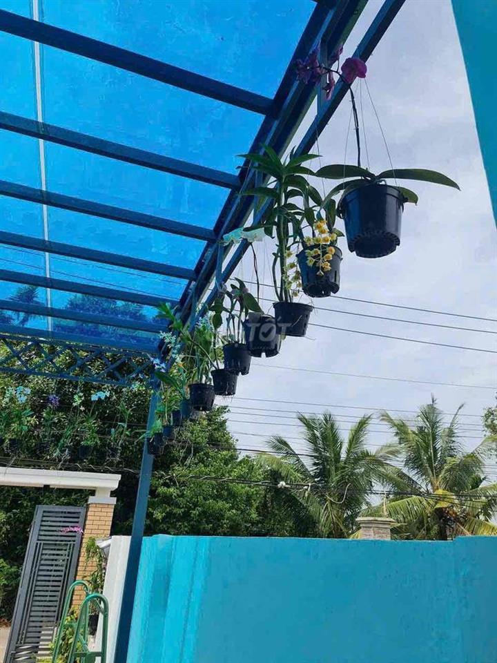 Nhà Mặt tiền DX Nhựa , Phường Tân An. 5x25m. 1 trệt 1 Lầu