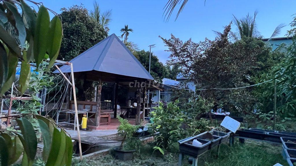 Biệt thự vườn ven sông 1.650m2 Phường Thủ Dầu Một 