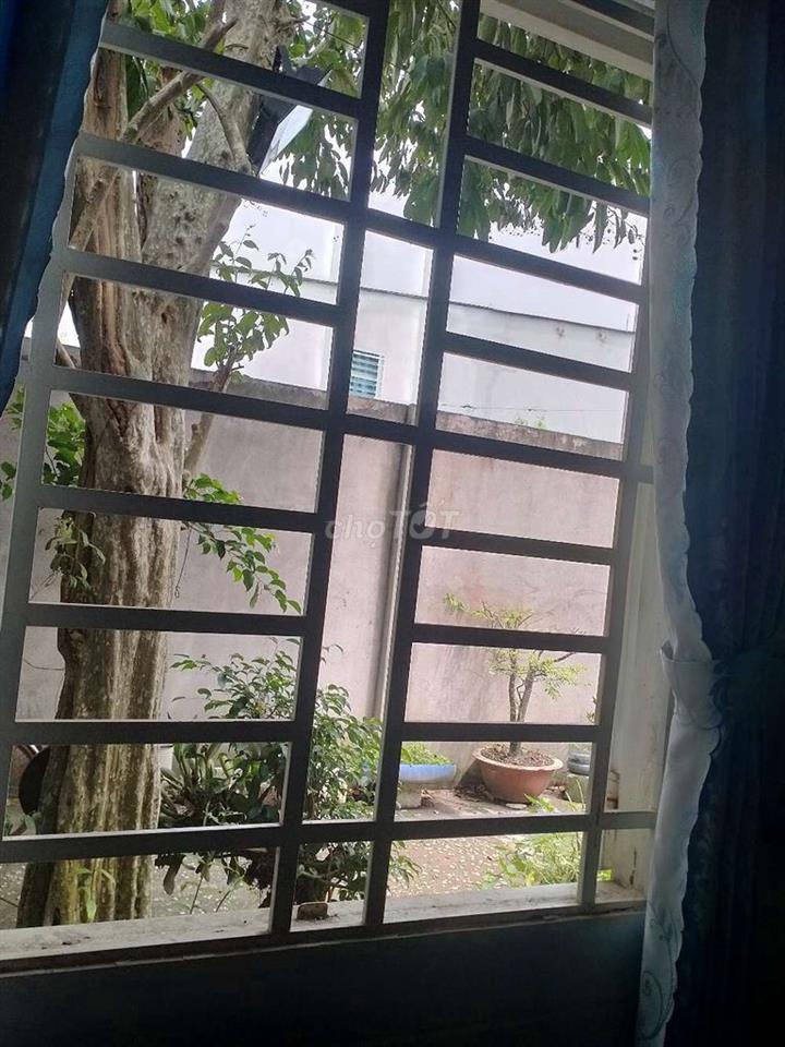 Cần bán về quê