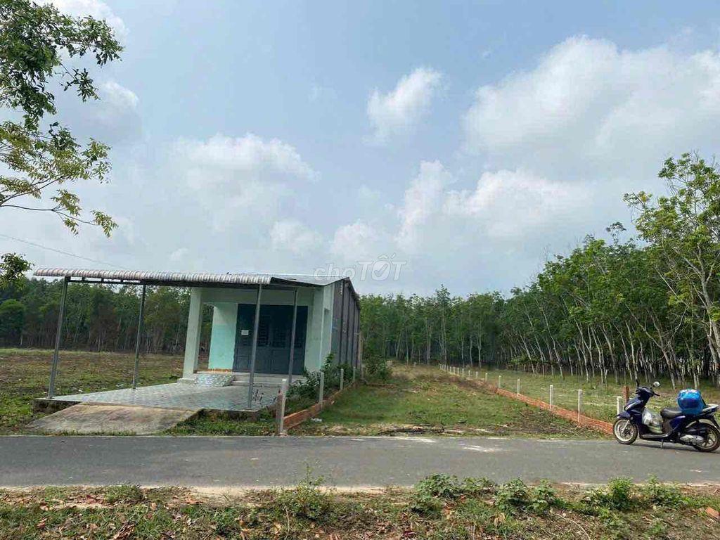 Do ở xa.Cần tiền bán rẻ lô đất 8x87m gần trường TH Định An