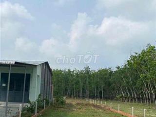 Do ở xa.Cần tiền bán rẻ lô đất 8x87m gần trường TH Định An