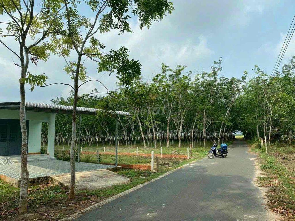 Do ở xa.Cần tiền bán rẻ lô đất 8x87m gần trường TH Định An