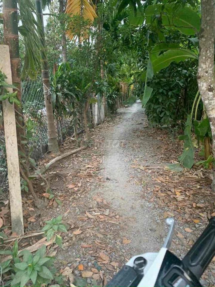 vườn 670m2 thạnh quý