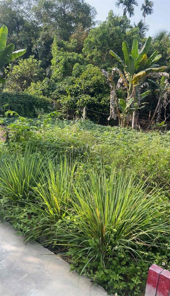 Chính chủ bán đất Hưng định ( bề ngang 12 mét )