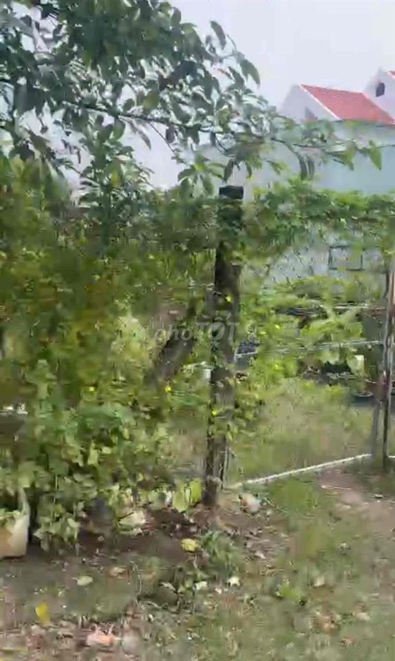 bán đất an sơn 01 . 542m2 , bề ngang 14 mét