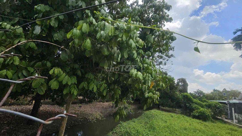 Bán vườn 18m x 38m . đường bình nhâm 16