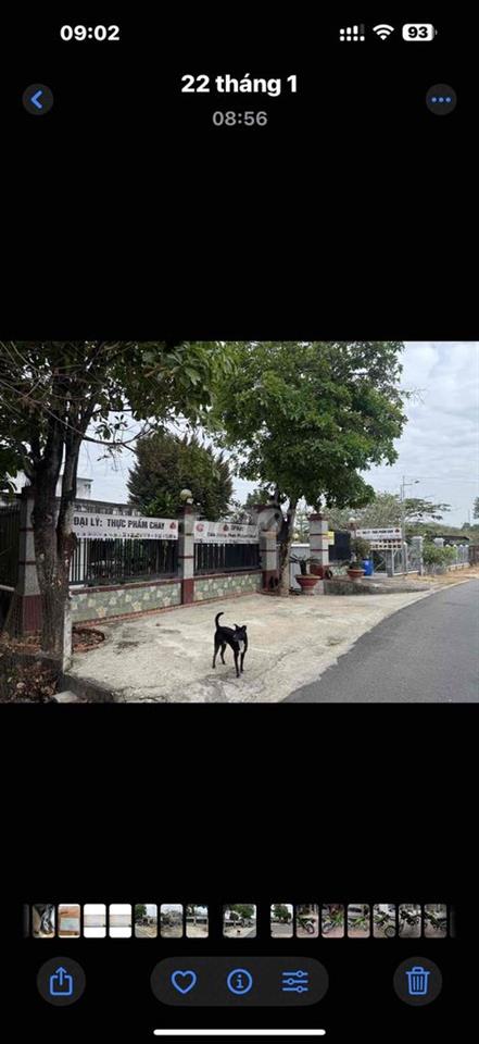 3 tỷ 2 NHÀ ĐẤT GIÁP SUỐI LÊ DANH CÁT P TÂY NAM TP HCM G RANH ĐỊA ĐẠO