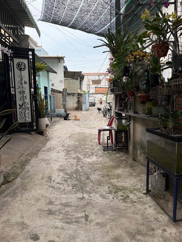 Chính chủ cần bán nhanh đất tặng nhà cấp 4