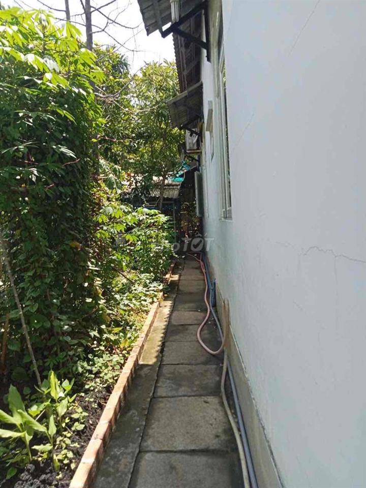 Nhà vườn chính chủ