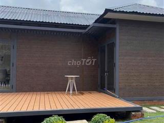 ĐẤT 1000M2 MẶT TIỀN DT741, NGANG 10M, CÓ NHÀ VƯỜN, SỔ RIÊNG