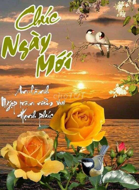 bán nhà