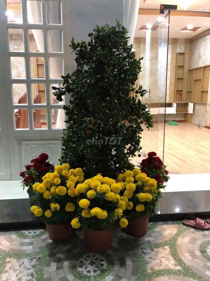 Gia Đình Cần Sang nhượng  mặt tiền đường Nguyễn trí phương