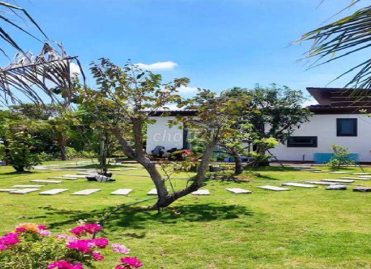 Bán nhà riêng Bờ bao sông + cuối đường Vĩnh Phú 27