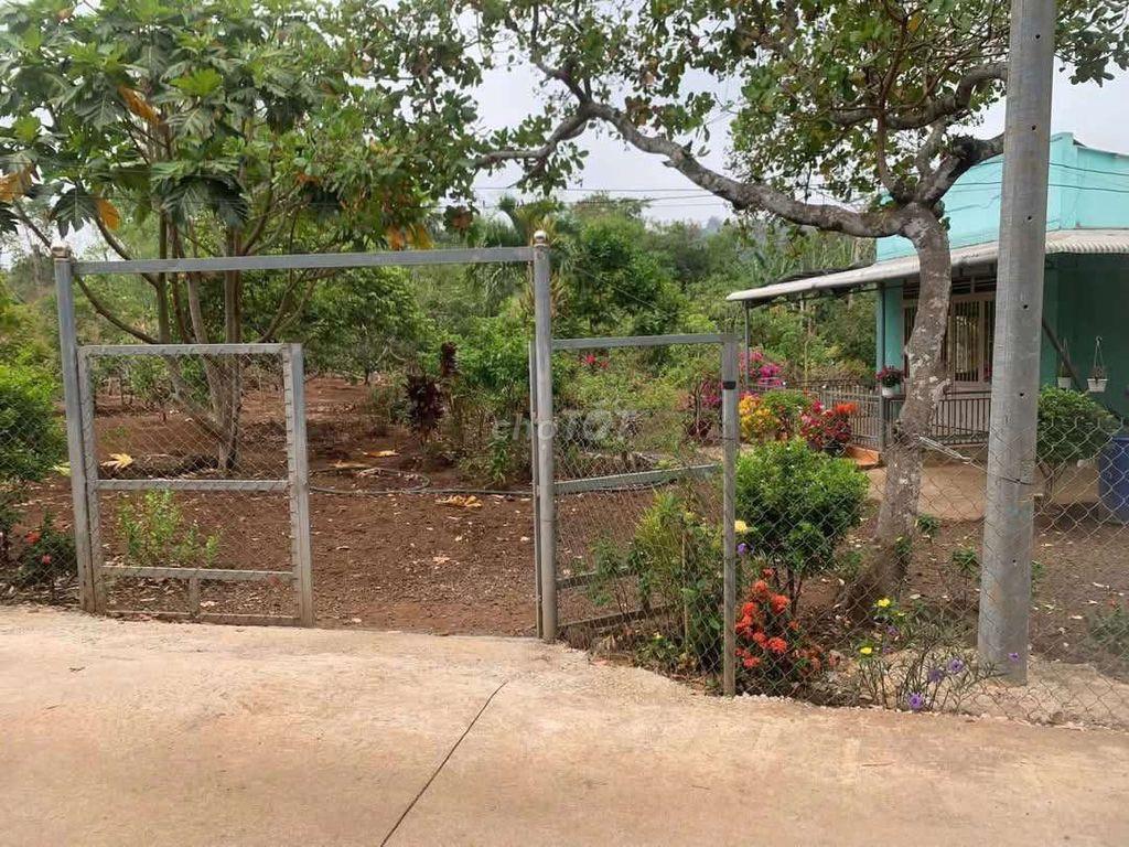 Chủ cắt lỗ bán nhà và vườn diện tích hơn 1 sào