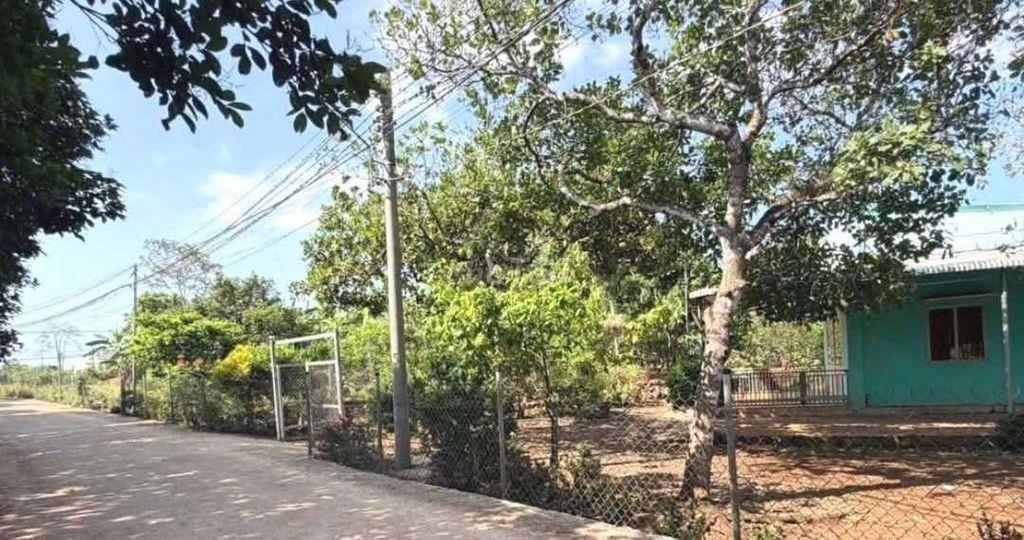 Chủ cắt lỗ bán nhà và vườn diện tích hơn 1 sào
