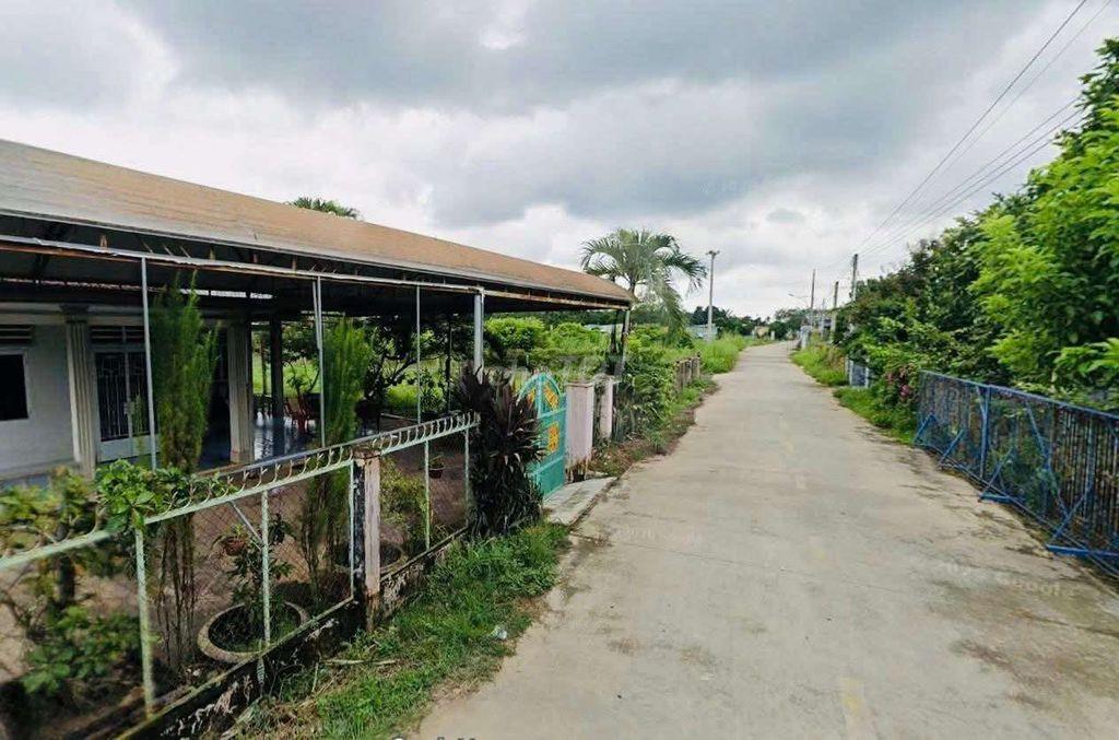 Chủ đang kẹt tiền gửi bán gấp vườn cây ăn trái hơn 1 sào
