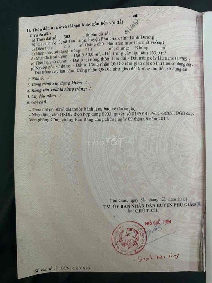 cần bán nhà cấp 4