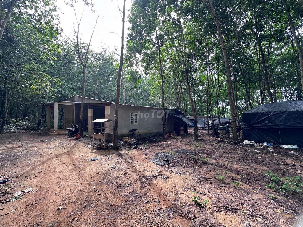 Bán đất có nhà kèm trang trại