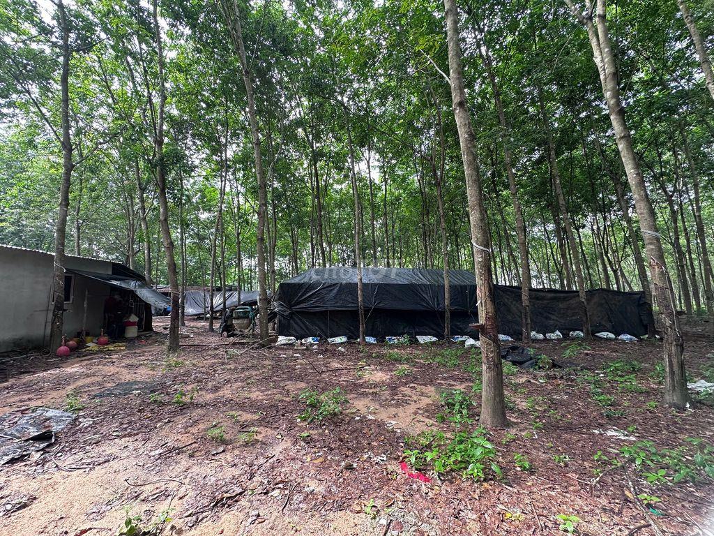 Bán đất có nhà kèm trang trại