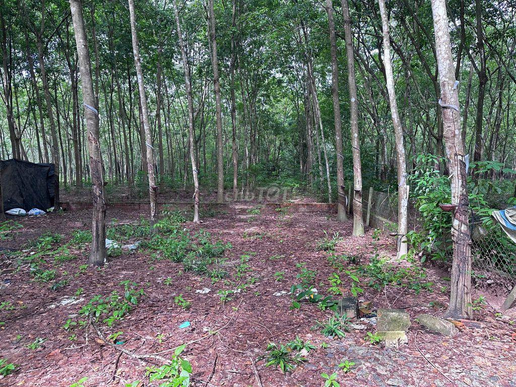Bán đất có nhà kèm trang trại