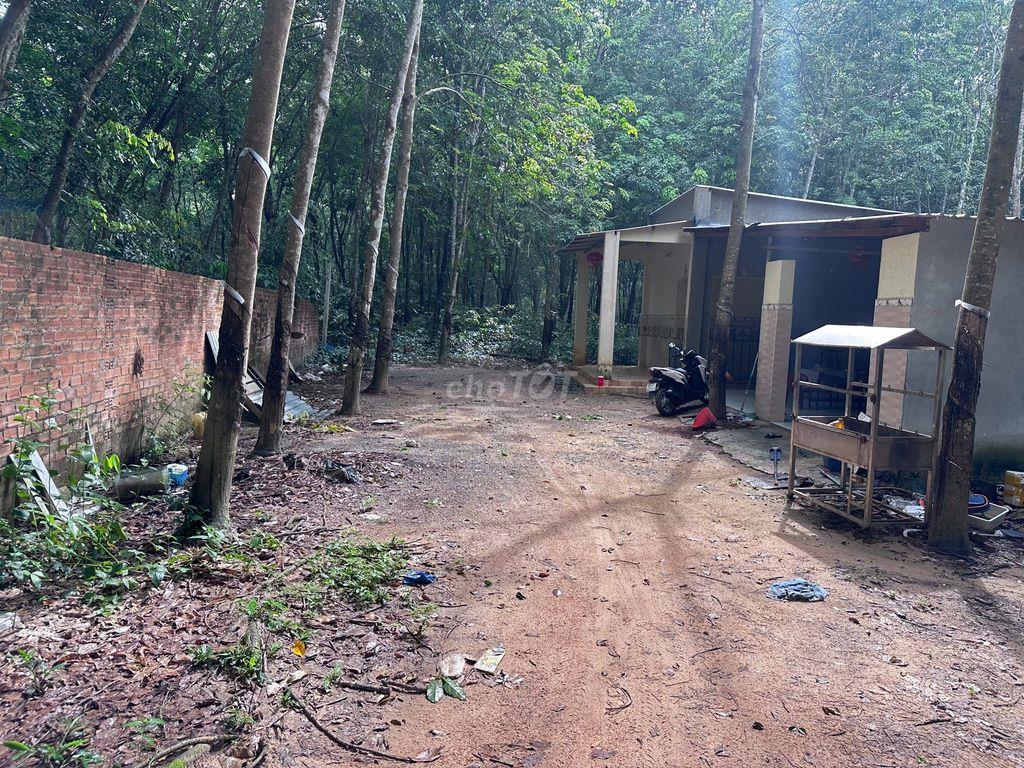 Bán đất có nhà kèm trang trại