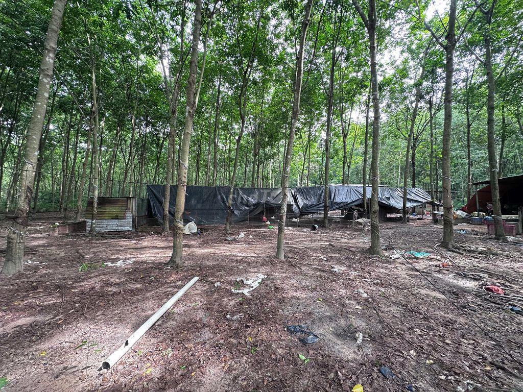 Bán đất có nhà kèm trang trại