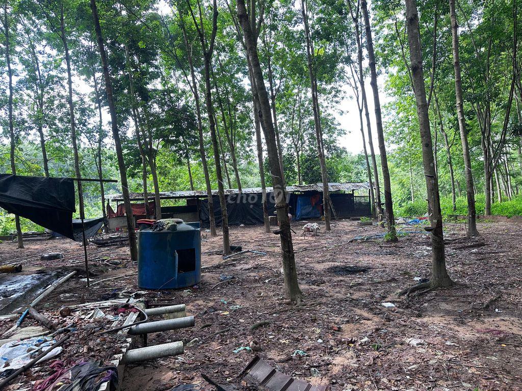 Bán đất có nhà kèm trang trại