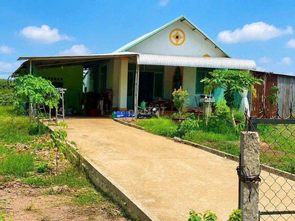 Đất nhà kèm vườn tại Bàu Bàng