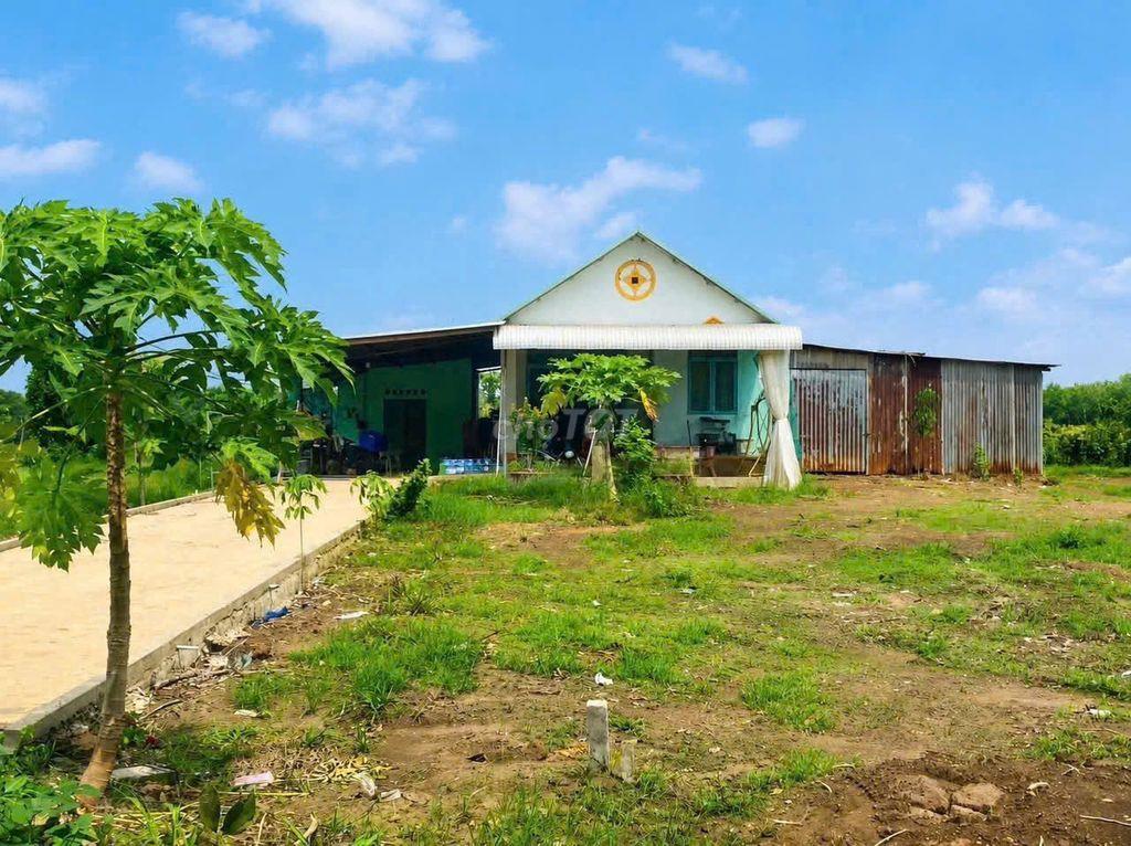 Đất nhà kèm vườn tại Bàu Bàng