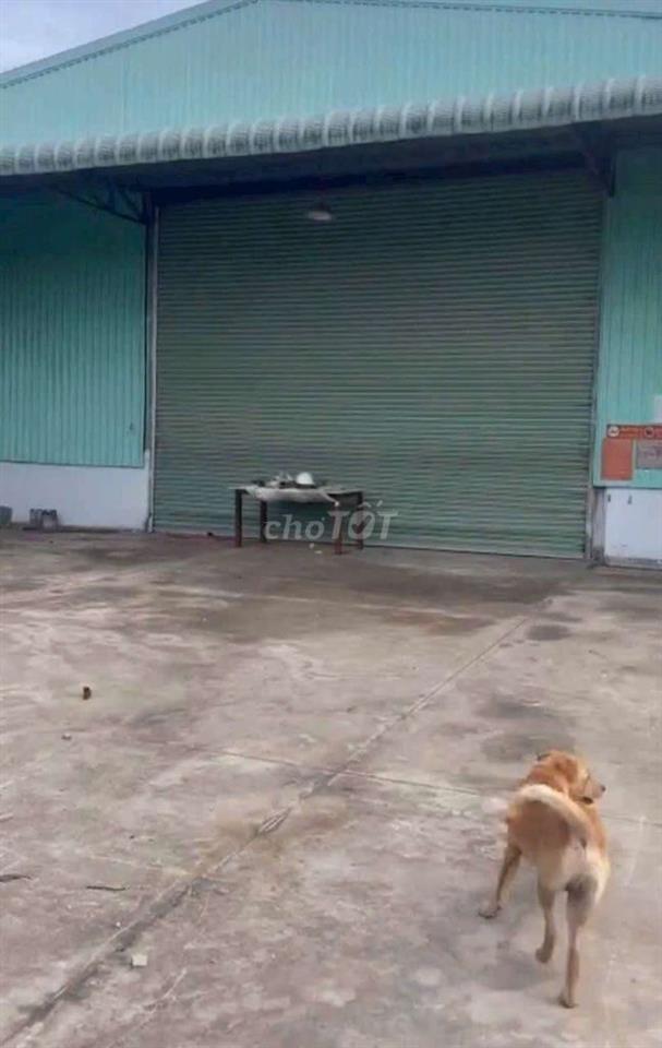 CHO THUÊ XƯỞNG BÌNH CHUẨN _ THUẬN AN GIÁ RẺ NHẤT THỊ TRƯỜNG