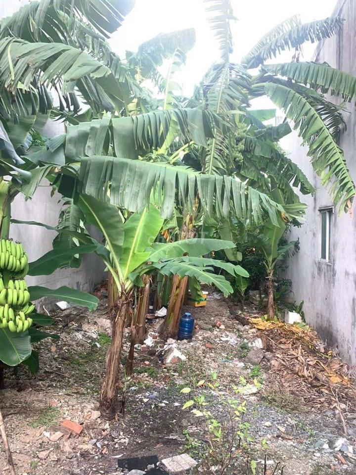 Đất trung tâm Phú Lợi đường ô tô