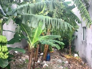 Đất trung tâm Phú Lợi đường ô tô