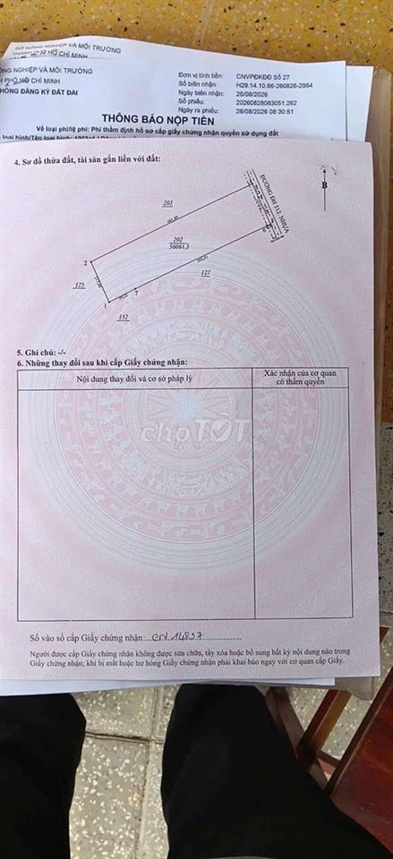 6 héc mặt tiền nhựa 10m cao su đang thu hoạch