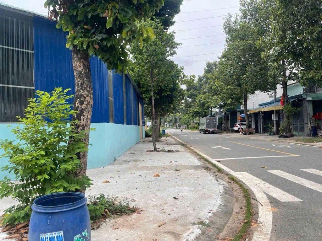 cho thuê xưởng Phú Tân thành phố mới 
