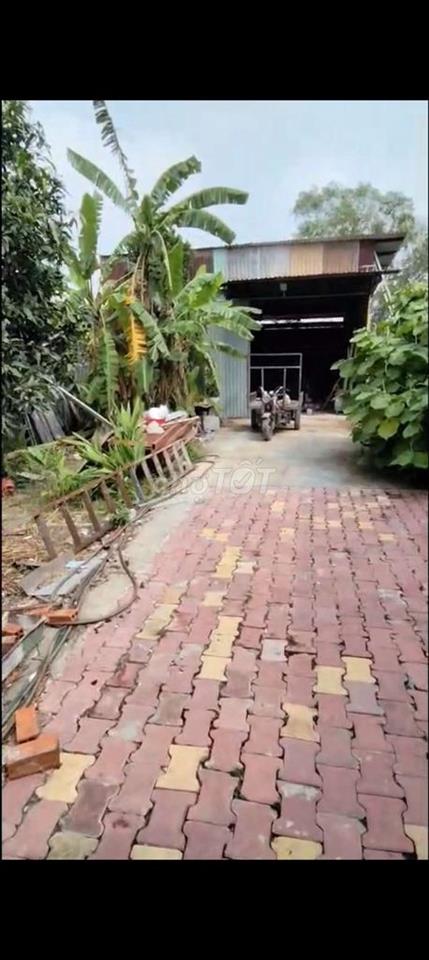 cho thuê đất và kho tiền chế 1500m2 Định Hòa Thủ Dầu Một