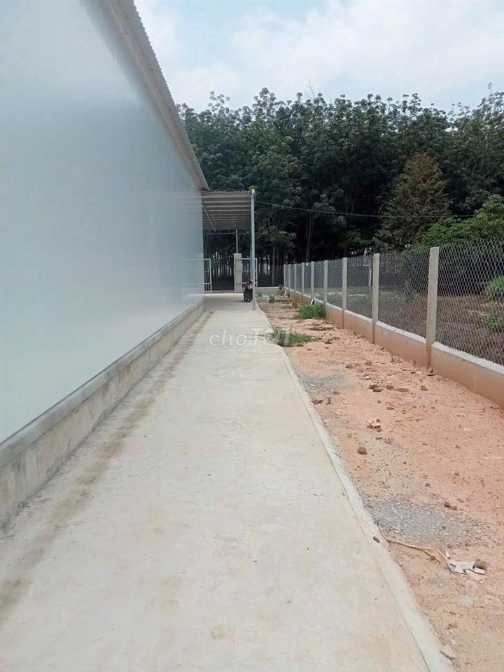Nhà nguyên căn yên tĩnh hẻm xe hơi