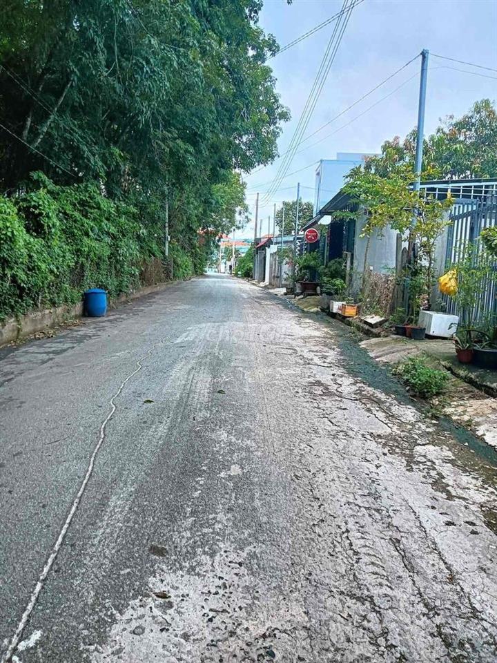 Cho thuê nhà mới 100%