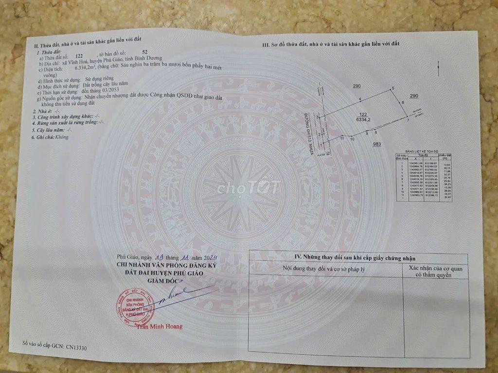 Đất Mẫu giá rẻ đường nhựa ĐH-513 xã Vĩnh Hòa, Phú Giáo 17 tỷ/ha