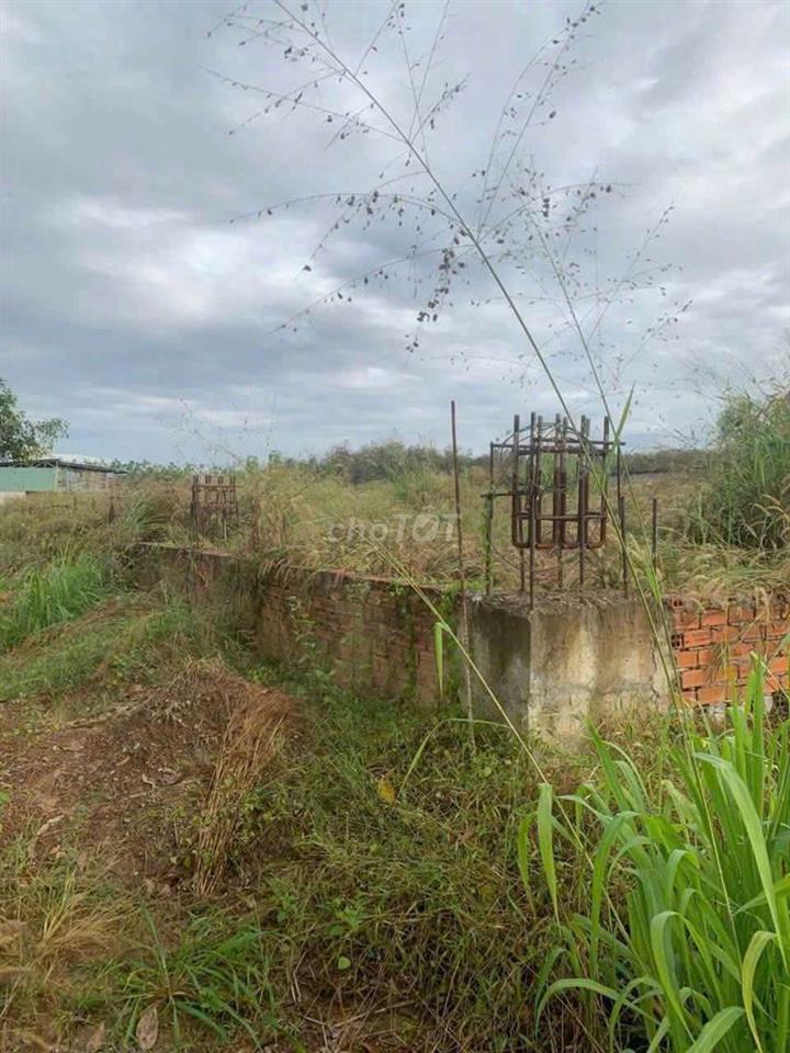 Bán Đất SKC XXKD đóng tiền 1 lần 50 năm 10.000m² Giá 26,2 tỷ 